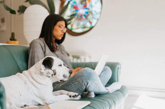 Frau am Laptop liesst sich durch wie man Marketing Tools nutzt