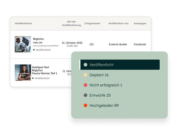 Die Benutzeroberflaeche der Social-Media-Management-Software von HubSpot zeigt die Social-Media-Beitraege der Kampagne